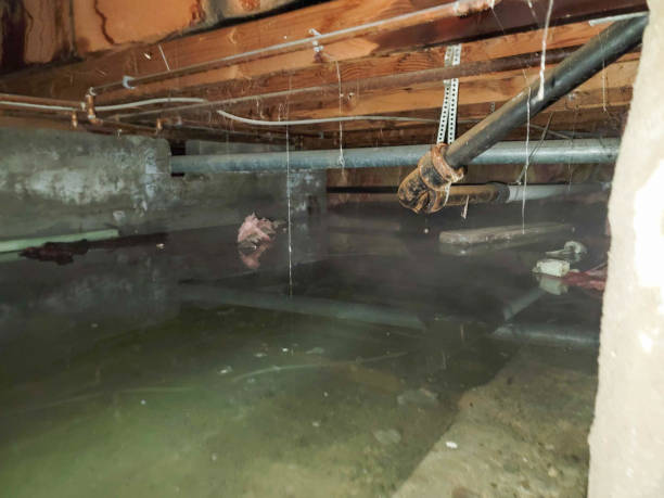 Best Flood damage cleanup  in Lakeside, OR