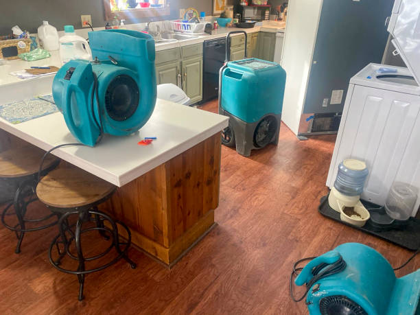 Best Water damage restoration near me  in Lakeside, OR