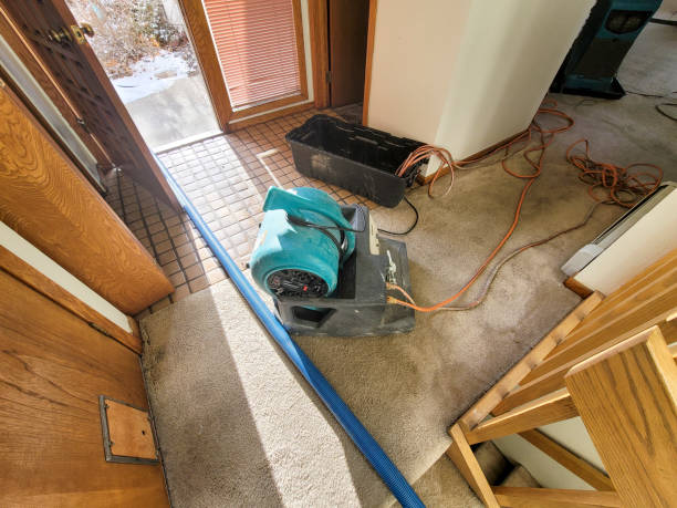 Trusted Lakeside, OR Water damage restoration Experts