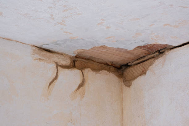 Best Emergency water damage restoration  in Lakeside, OR