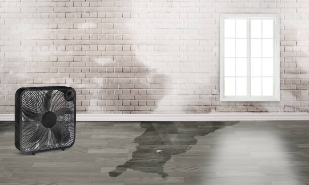 Best Basement water damage restoration  in Lakeside, OR